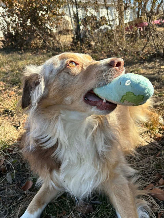 Silly Goose Dog Toy